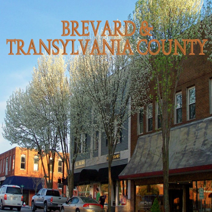 Brevard NC Cabins Camping Near Waterfalls Mountain Biking